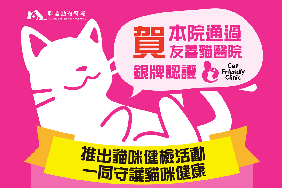 賀!!!聯盟動物醫院通過友善貓醫院銀牌認證